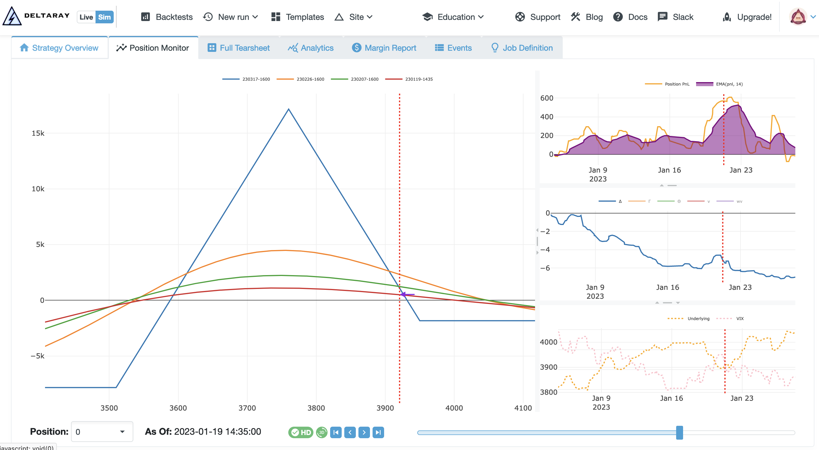 MesoSim v2.11 Position Monitor Screenshot