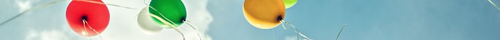 MesoSim v2.13 and MesoLive v1.1 Release